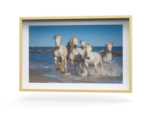 360 view of the product