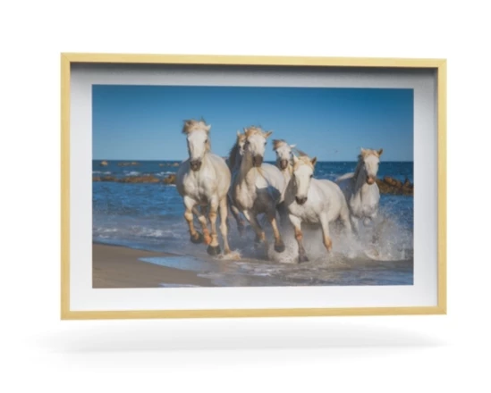 360 view of the product