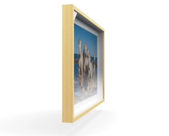 360 view of the product