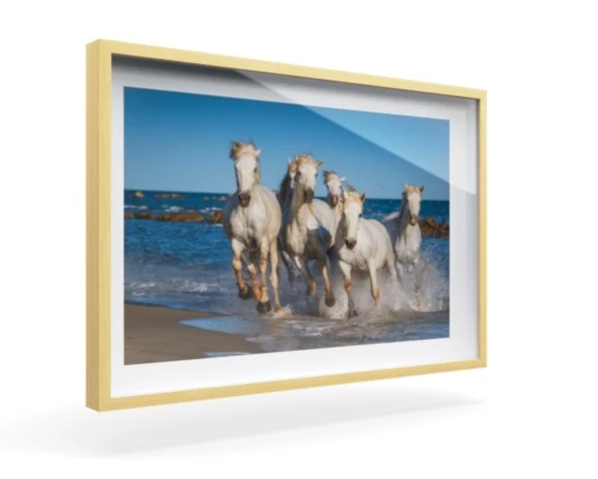 360 view of the product