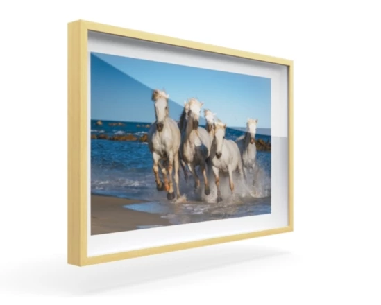 360 view of the product