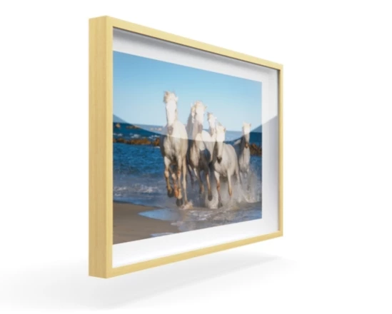 360 view of the product