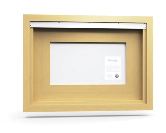 360 view of the product