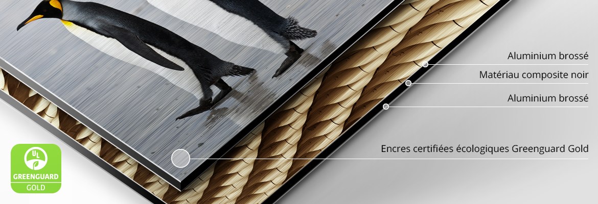 Détail d'une impression sur Dibond Brossé avec des encres écologiques certifiées Greenguard Gold.