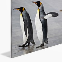 UV Dibond Square Alu Silver
