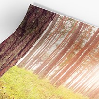 Wall Paper Curve Square 2022