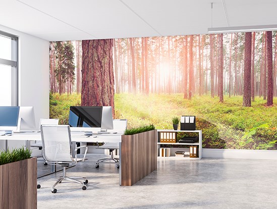 Brighten up office spaces with printed wallpaper from AuthenticPhoto.com
