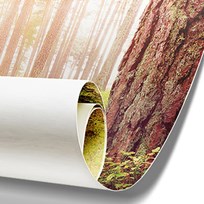 Wall Paper Roll Square 2022