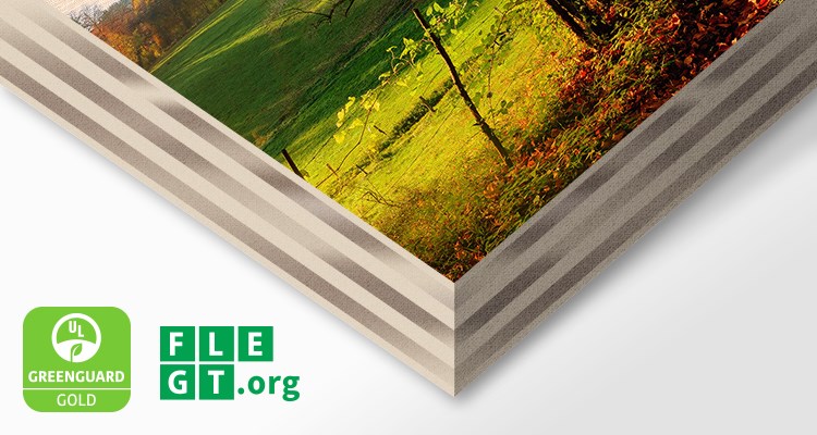 Ecological Wood FLEGT