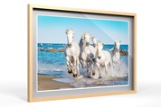 Camargue 30 mm
