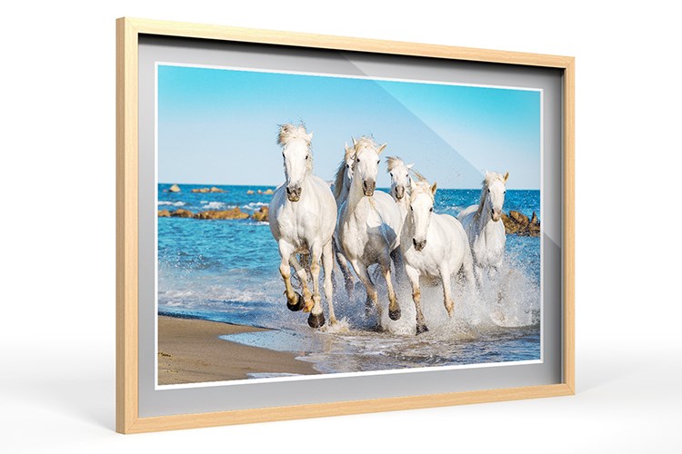 Camargue 30 mm