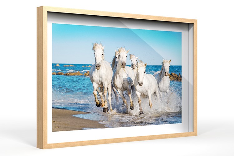 Un tirage photographique placé dans une Cadre avec Verre "Camargue"