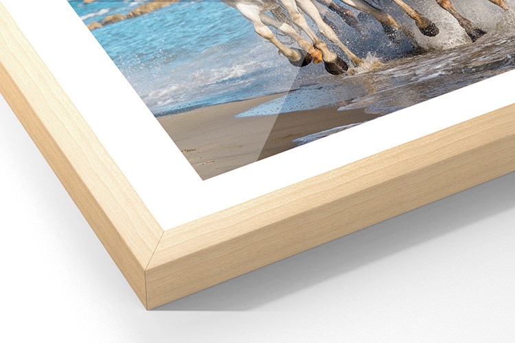 Menu Frame Camargue30 Ayous 750X500