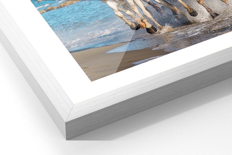 Menu Frame Camargue30 White 750X500