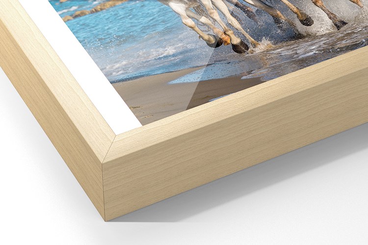 Menu Frame Camargue60 Ayous 750X500