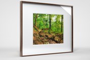 Frame in Alu with real wood veneer