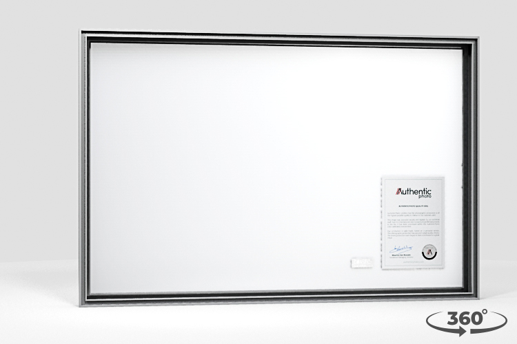 360 view of the product