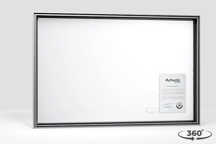 360 view of the product