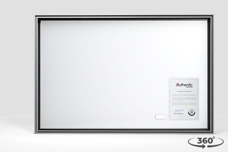 360 view of the product