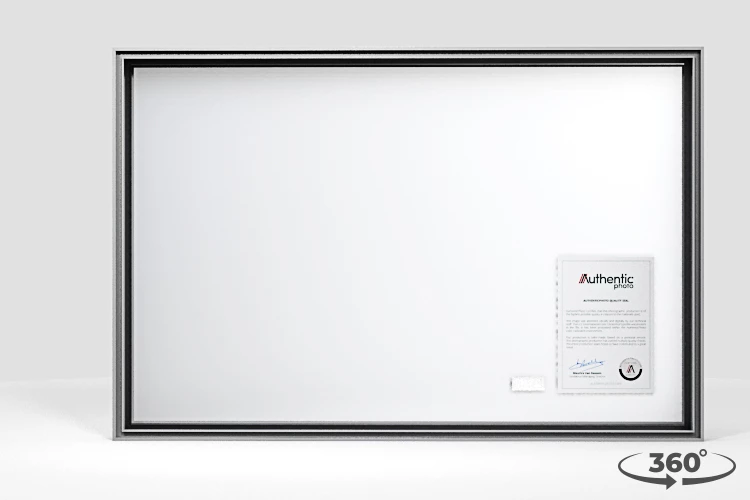 360 view of the product