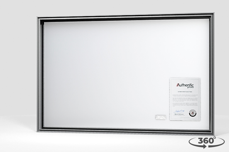 360 view of the product