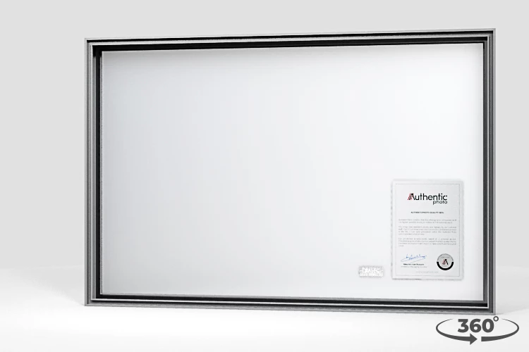 360 view of the product