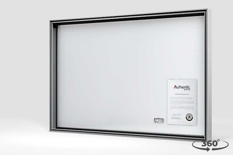 360 view of the product