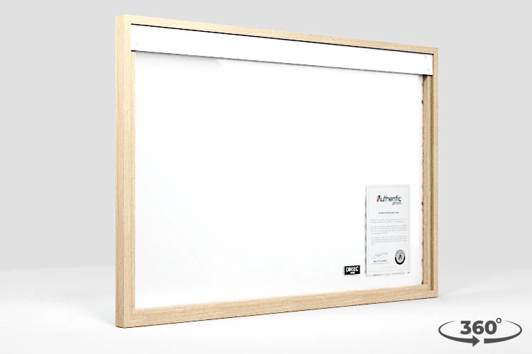 360 view of the product