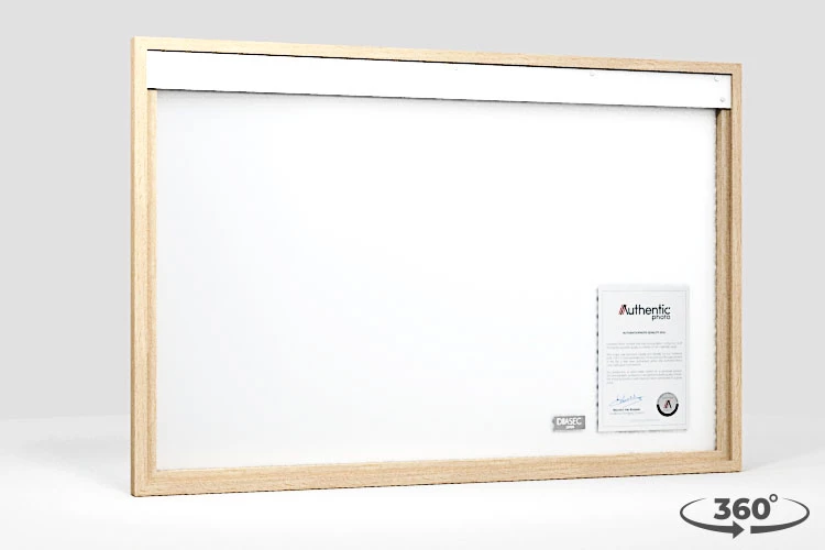 360 view of the product