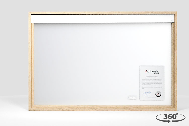 360 view of the product