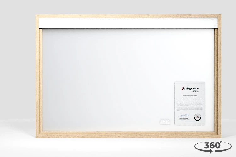 360 view of the product