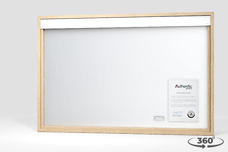 360 view of the product