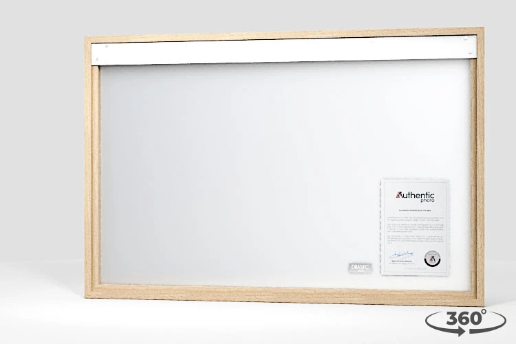 360 view of the product