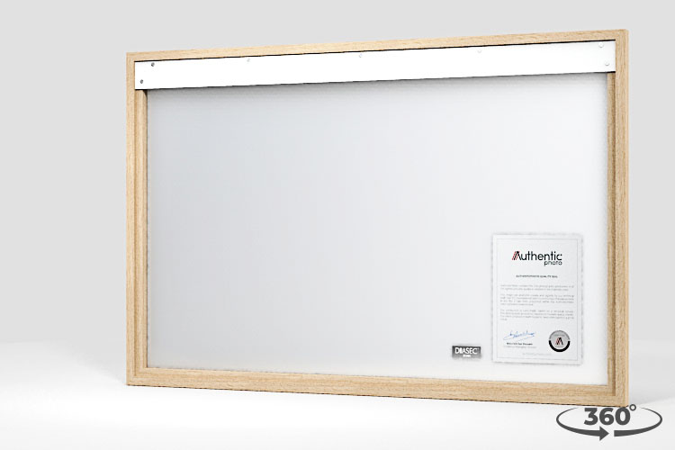 360 view of the product