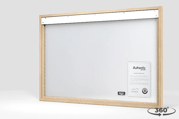 360 view of the product