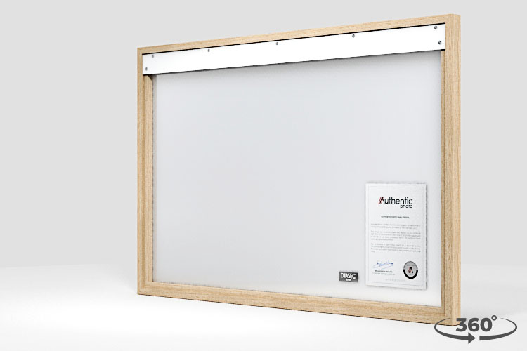 360 view of the product