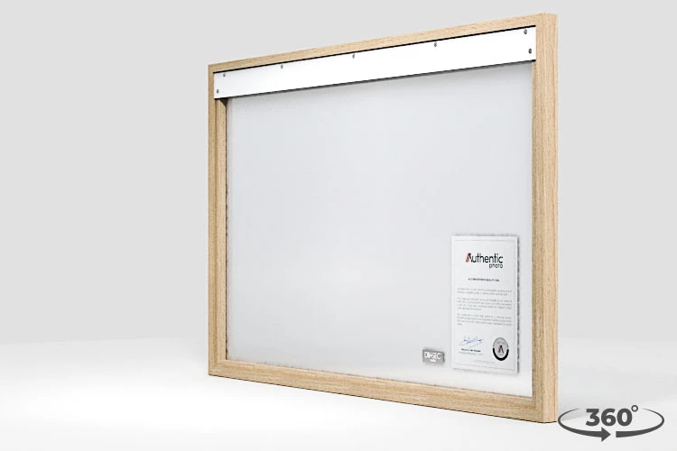 360 view of the product