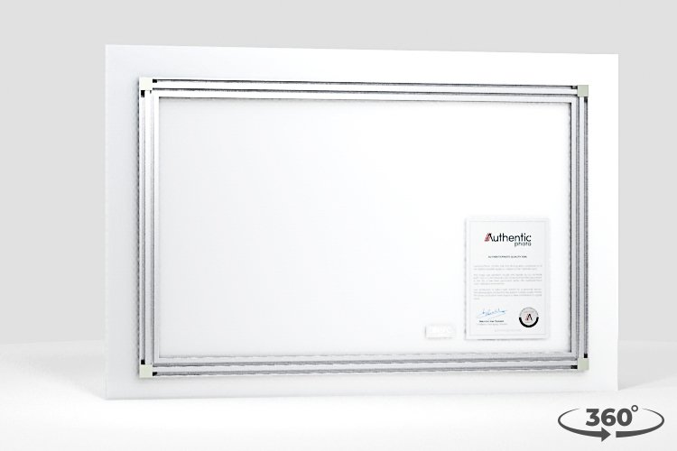 360 view of the product