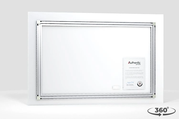 360 view of the product