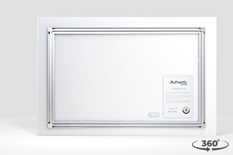 360 view of the product