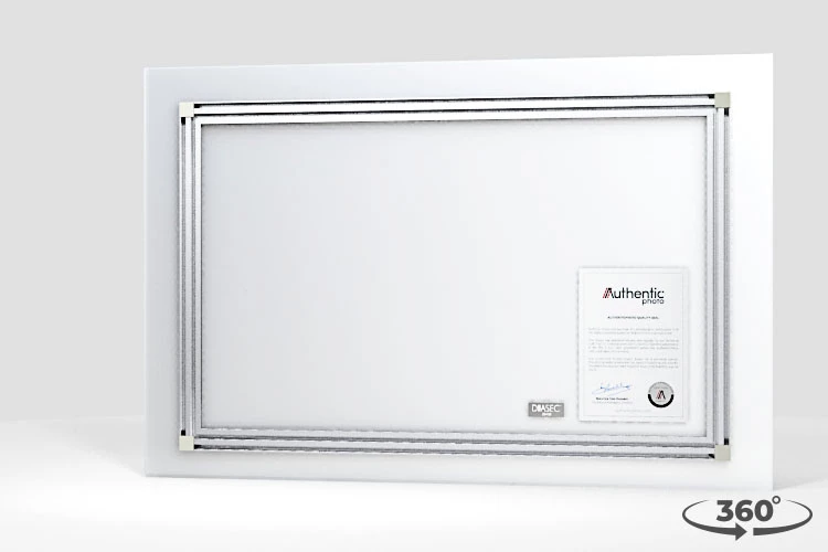 360 view of the product