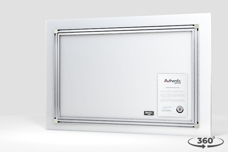 360 view of the product