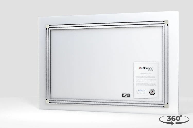 360 view of the product