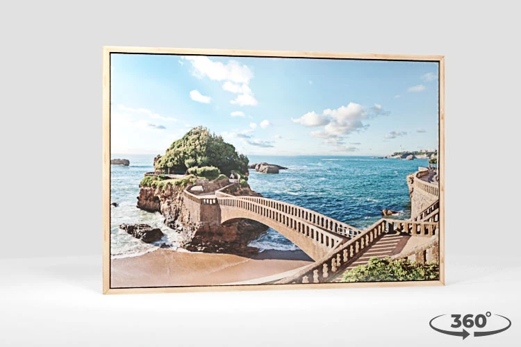 360 view of the product