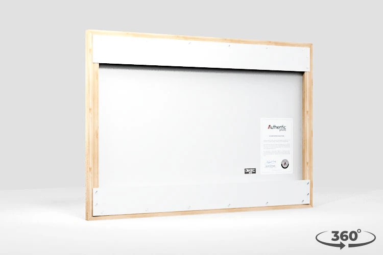 360 view of the product