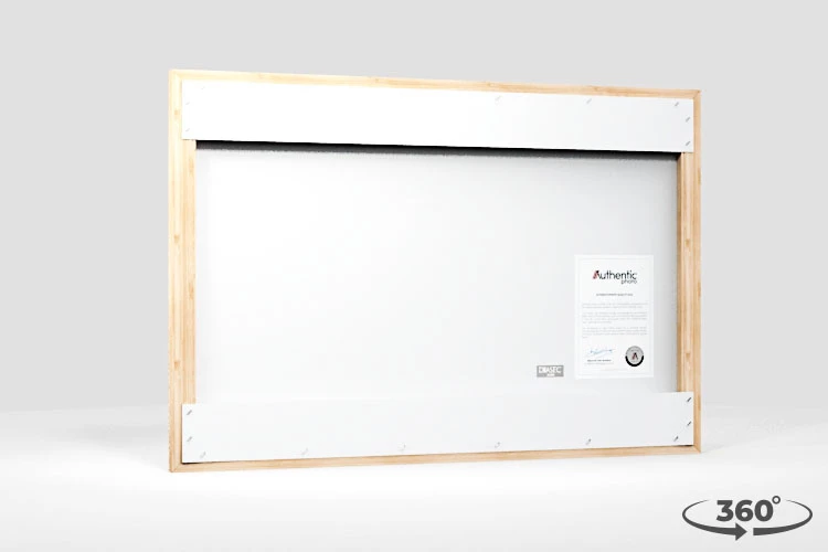 360 view of the product