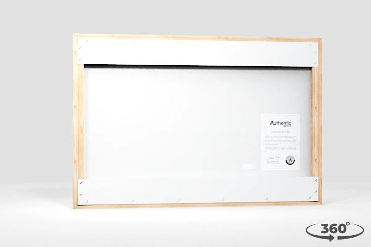 360 view of the product