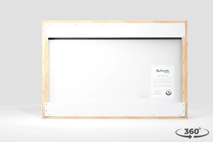 360 view of the product