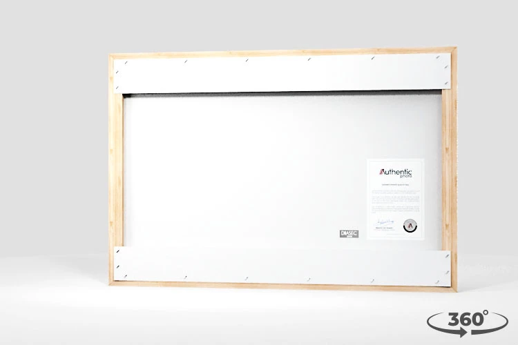 360 view of the product