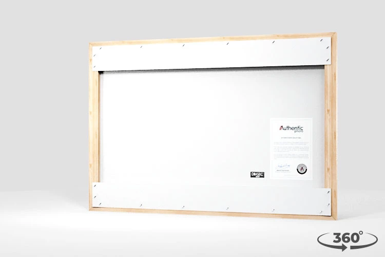 360 view of the product